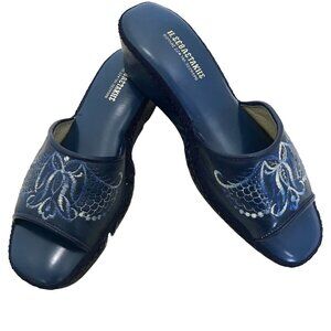 Greek Embroidered Art-To-Wear Women's Blue Wedge Slide‎ Sandals Unique Festival